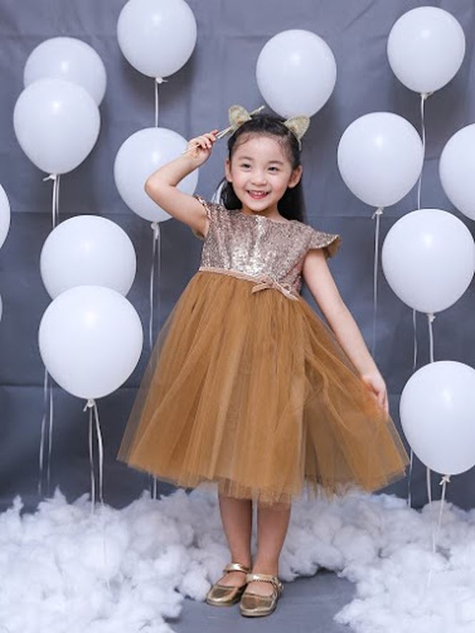 váy công chúa cho bé gái - ảnh 5